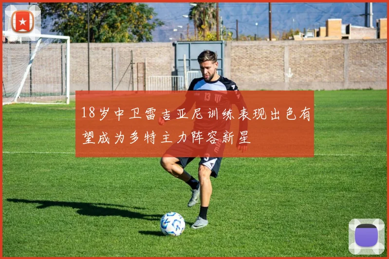 18岁中卫雷吉亚尼训练表现出色有望成为多特主力阵容新星
